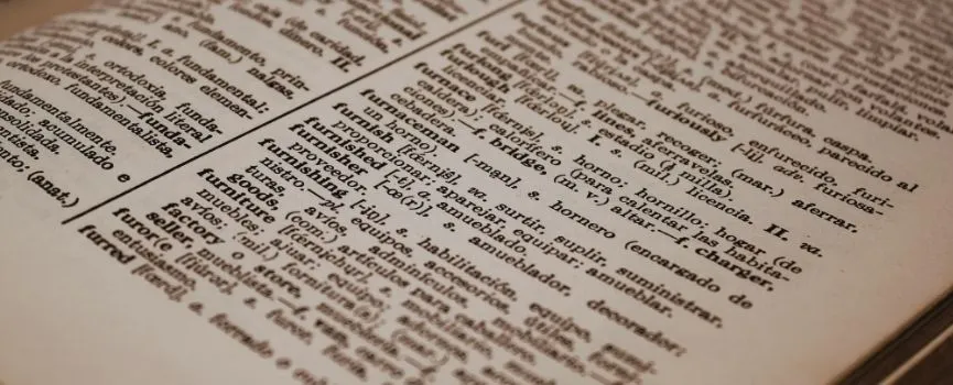 Dictionnaires - Langues