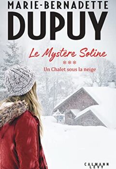 Le Mystère Soline Tome 3 : Un chalet sous la neige - Marie-Bernadette Dupuy