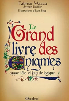 Le grand livre des énigmes - Casse-tête et jeux de logique - Fabrice Mazza, Sylvain Lhullier