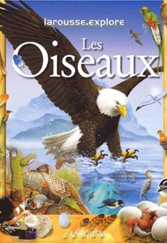 Larousse Explore : Les Oiseaux - S. Brinkley Edward