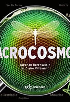 Macrocosmos - Claire Villemant