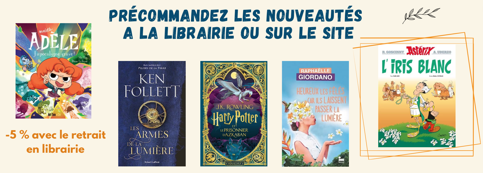 lirandco librairie neuf et occasion livres pas cher librairie le Teil Ardèche