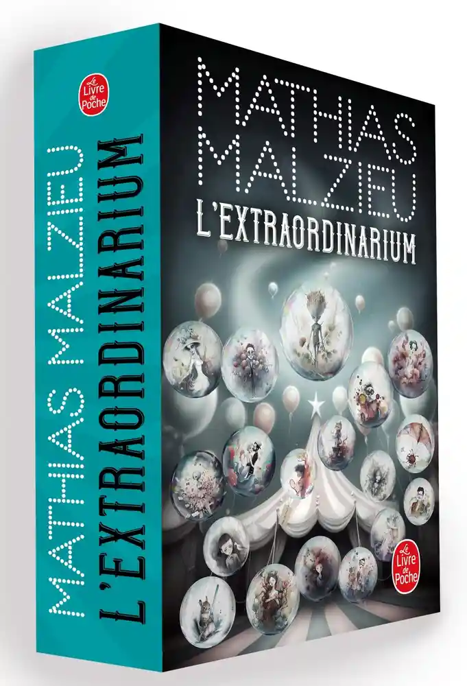 livre occasion L'Extraordinarium - Mathias Malzieu librairie lirandco ardeche