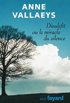Dieulefit ou le miracle du silence - Anne Vallaeys