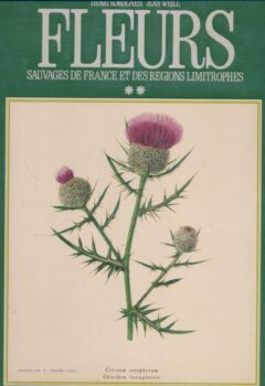 Fleurs sauvages de France et des régions limitrophes - Henri Romagnesi, Jean Weill