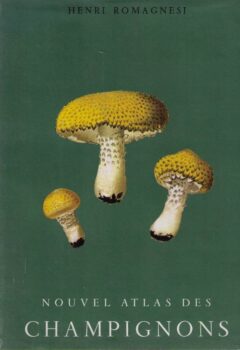 Nouvel Atlas des champignons Tome 4 - Henri Romagnesi