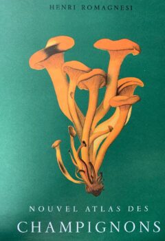 Nouvel Atlas des champignons Tome 2 - Henri Romagnesi