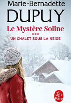 Le Mystère Soline Tome 3 : Un Chalet sous la neige - Marie-Bernadette Dupuy